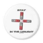 Stay In The Moment (Magnetic Quadrupole Moment)