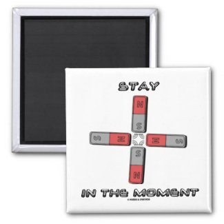 Stay In The Moment (Magnetic Quadrupole Moment) Refrigerator Magnets