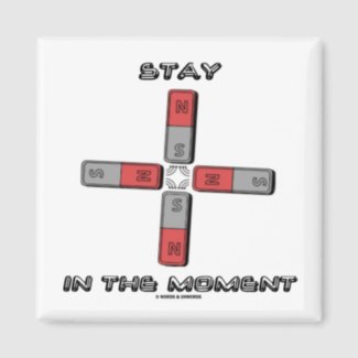 Stay In The Moment (Magnetic Quadrupole Moment) Refrigerator Magnets