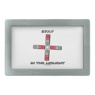 Stay In The Moment (Magnetic Quadrupole Moment) Rectangular Belt Buckle