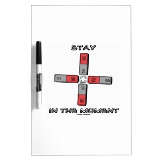 Stay In The Moment (Magnetic Quadrupole Moment) Dry Erase Boards