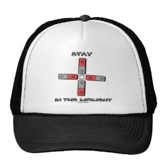 Stay In The Moment (Magnetic Quadrupole Moment) Mesh Hats