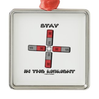Stay In The Moment (Magnetic Quadrupole Moment) Ornaments