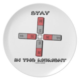Stay In The Moment (Magnetic Quadrupole Moment) Dinner Plates