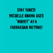 Stay Tuned!Michelle Obama used "Whitey" at aFar... t-shirts