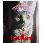 Stay Warm t-shirts