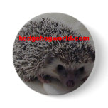 std hedgehog button