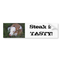 Steak Is Tasty bumper sticker bumper stickers