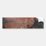 Steaks Grilling Barbecue Grills Meat Bumper Stickers