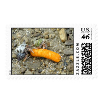 Stealing Cheetos postage