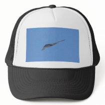 Stealth Bomber hats