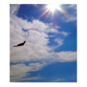 Stealth Bomber Poster posters by FNolan Stealth Bomber Poster posters