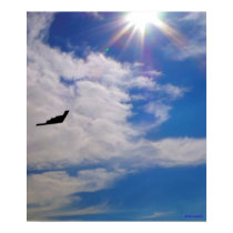 Stealth Bomber Poster posters