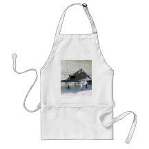 Stealth Fighter F117a Apron