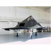 Stealth Fighter F117a photo sculptures