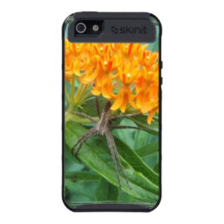 Stealthy Spider ~ iPhone 5 Skinit case iPhone 5 Cover