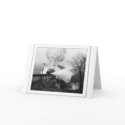 Steam Engine cards