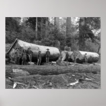 Steam Logging in the Cascades of Washington Stat Posters