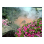 Steam pool in Bephu, Japan Post Cards