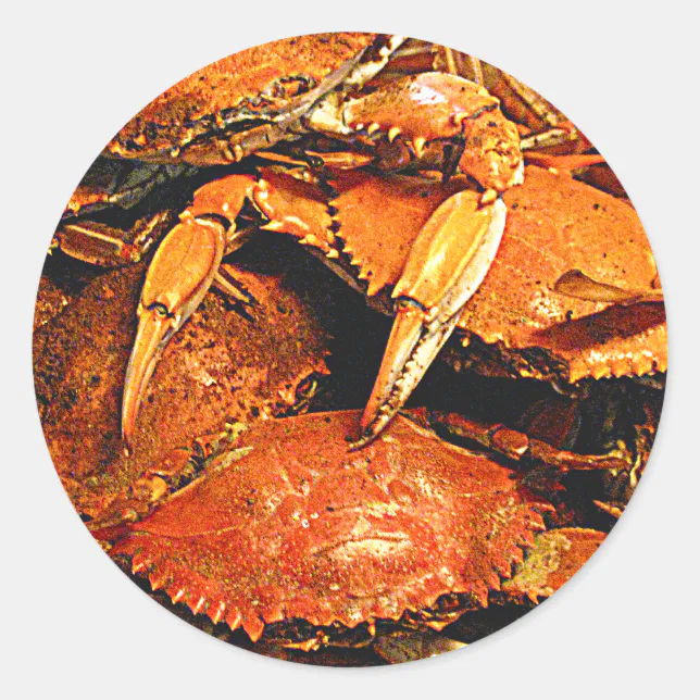 Steamed Maryland Hard Crabs Classic Round Sticker Zazzle