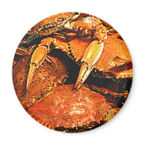 Steamed Maryland Hard Crabs Refrigerator Magnet