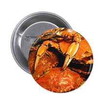 Steamed Maryland Hard Crabs Pin