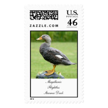 Steamer Duck Postage Stamp