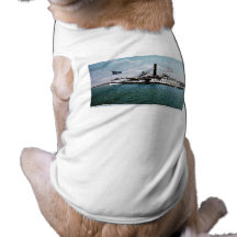 Steamer Ticonderoga on Lake Champlain Pet Shirt