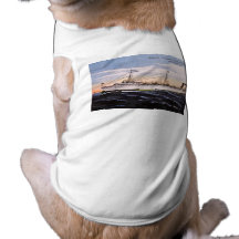 Steamer Tionesta Doggie T Shirt