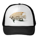 Steampunk fish hat