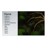 Steampunk - Insect - Arachnia Automata Business Cards
