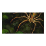 Steampunk - Insect - Arachnia Automata Photo Card Template