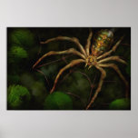 Steampunk - Insect - Arachnia Automata Posters