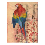 Steampunk Parrot Postcard postcards
