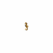 Steampunk Seahorse Acrylic Cut Outs