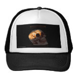 Steampunk skeleton skull machinery cogs rust hats