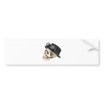 SteamPunkSkull073109 bumper stickers