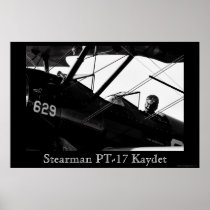 Stearman PT-17 Kaydet posters