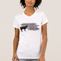 Stearns County t-shirts