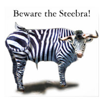 Steebra posters by ziggieo Steebra posters