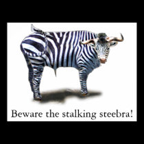 Steebra posters