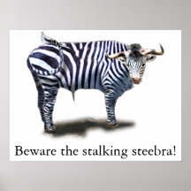 Steebra Poster