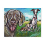 Steel, Fergie, &amp; Rocket Post Card