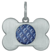 Steel Metal Glossy Fine Digital Art Beautiful Ligh Pet Name Tag