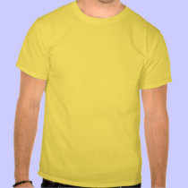 STEELERS FAN AGAINST VICK t-shirts
