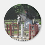 Steely Grey Pony Magnet
