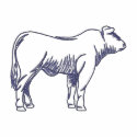 Steer Outline embroidered shirts by ZazzleEmbroidery Steer Outline embroidered shirts