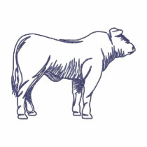 Steer Outline embroidered shirts