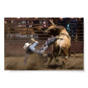 Steer rider takes a fall posters by pshaw_photo Steer rider takes a fall posters