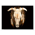 Steer Skull posters